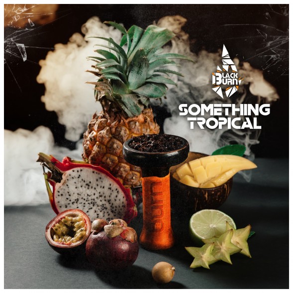 Табак BlackBurn - Something Tropical (Что-то Тропическое, 25 грамм) купить в Санкт-Петербурге