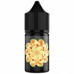 Жидкость SOAK L - Nectarine (Нектарин, 10 мл, 2 мг)