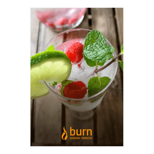 Табак Burn - Kamikaze (Лайм Малина Лед, 100 грамм) купить в Санкт-Петербурге