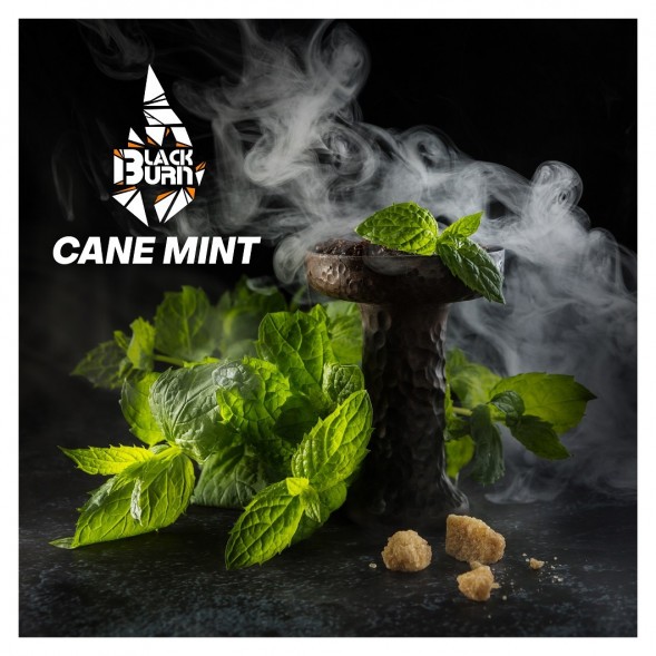Табак BlackBurn - Cane Mint (Тростниковая Мята, 100 грамм) купить в Санкт-Петербурге