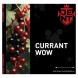 Табак Jent - Currant WOW (Кислая Смородина, 200 грамм) купить в Санкт-Петербурге