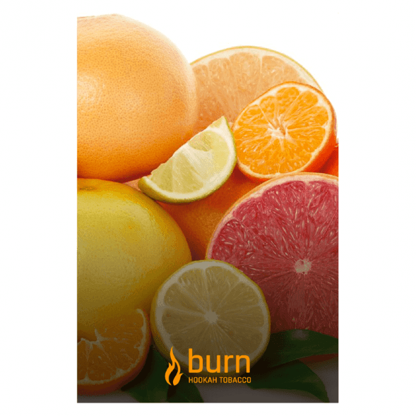Табак Burn - Sundaysun (Цитрусовый Микс, 100 грамм) купить в Санкт-Петербурге