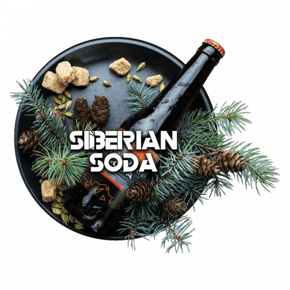 Табак BlackBurn - Siberian Soda (Лимонад Байкал, 25 грамм) купить в Санкт-Петербурге
