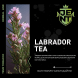 Табак Jent - Labrador Tea (Багульник и Саган Дайля, 100 грамм) купить в Санкт-Петербурге