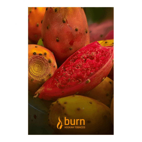Табак Burn - Juicy Apricot (Спелый Абрикос, 100 грамм) купить в Санкт-Петербурге