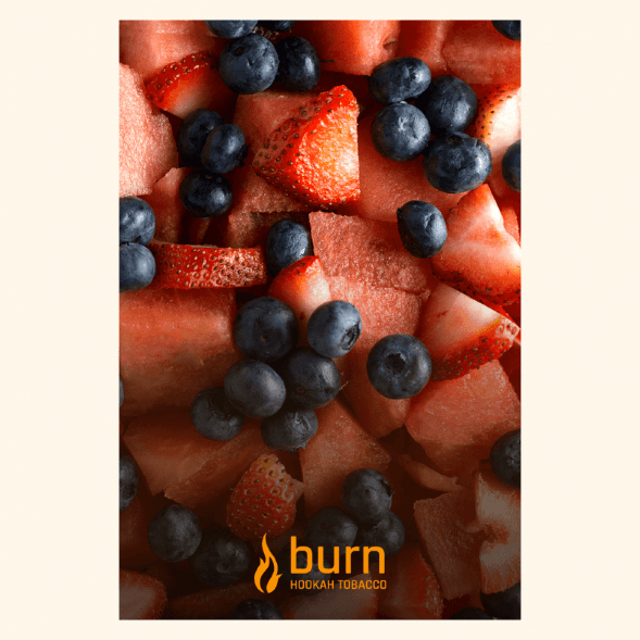 Табак Burn - Berried Treasure (Ягодный Микс, 25 грамм) купить в Санкт-Петербурге