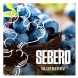 Табак Sebero - Blueberry (Голубика, 200 грамм) купить в Санкт-Петербурге