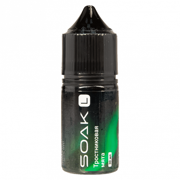 Жидкость SOAK L30 - Cane Mint (Тростниковая Мята, 30 мл, 2 мг) купить в Санкт-Петербурге