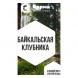 Табак Сарма - Байкальская Клубника (25 грамм) купить в Санкт-Петербурге