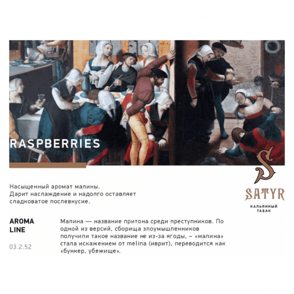 Табак Satyr - Raspberry (Малина, 200 грамм) купить в Санкт-Петербурге