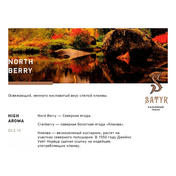 Табак Satyr - North Berry (Северная Ягода, 25 грамм) купить в Санкт-Петербурге