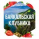 Табак Сарма - Байкальская Клубника (40 грамм) купить в Санкт-Петербурге