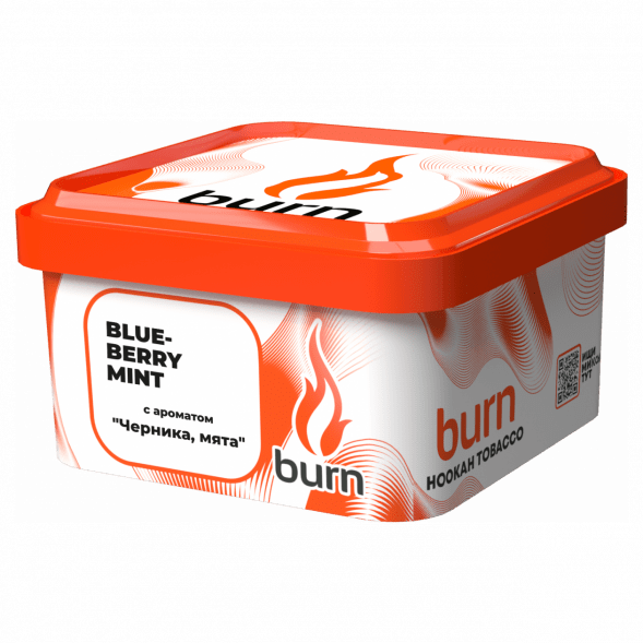 Табак Burn - Blueberry Mint (Черника с Мятой, 200 грамм) купить в Санкт-Петербурге